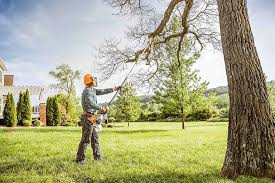 Best Tree Maintenance Programs  in Prairieville, LA